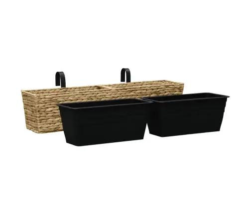 Taimekastid, 2 Tk, Vesihüatsint