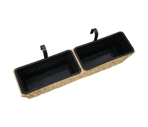 Taimekastid, 2 Tk, Vesihüatsint