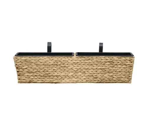 Taimekastid, 2 Tk, Vesihüatsint