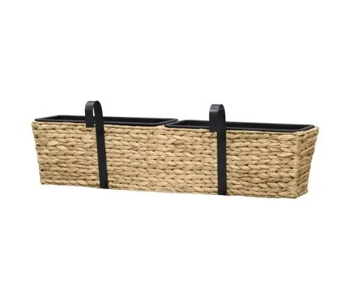 Taimekastid, 2 Tk, Vesihüatsint