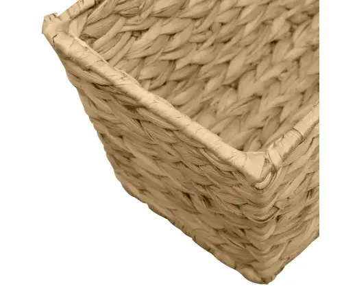 Taimekastid, 2 Tk, Vesihüatsint