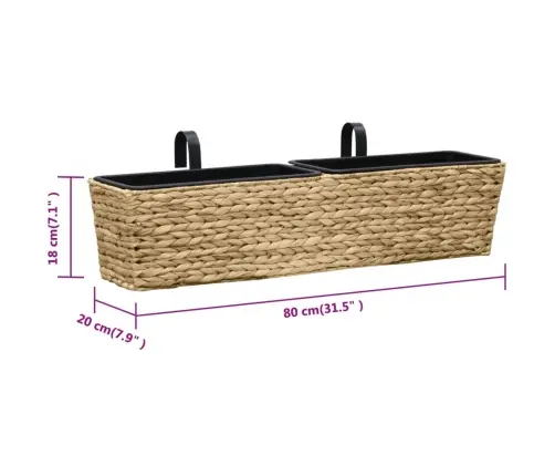 Taimekastid, 2 Tk, Vesihüatsint