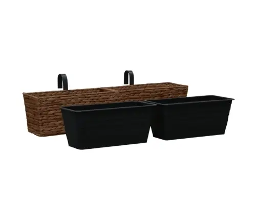 Taimekastid, 2 Tk, Vesihüatsint, Pruun