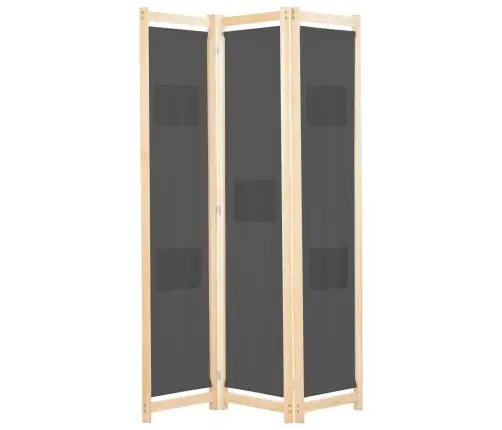 Kambario Pertvara, 3 D., Pilkos Sp., 120X170X4cm Audinys