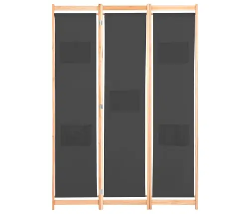 Kambario Pertvara, 3 D., Pilkos Sp., 120X170X4cm Audinys