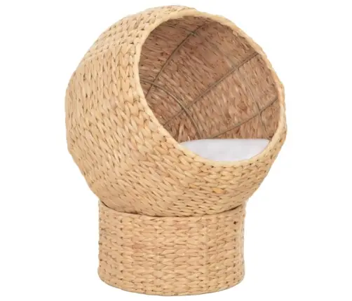 Kaķu Grozs, Jūraszāles Vidaxl