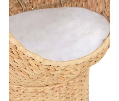 Kaķu Grozs, Jūraszāles Vidaxl