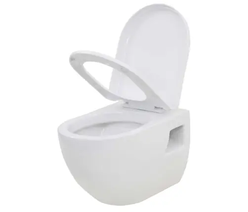 Seinale Kinnitatav Peidetud Loputuskastiga Wc-Pott, Valge