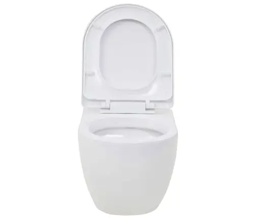 Seinale Kinnitatav Peidetud Loputuskastiga Wc-Pott, Valge