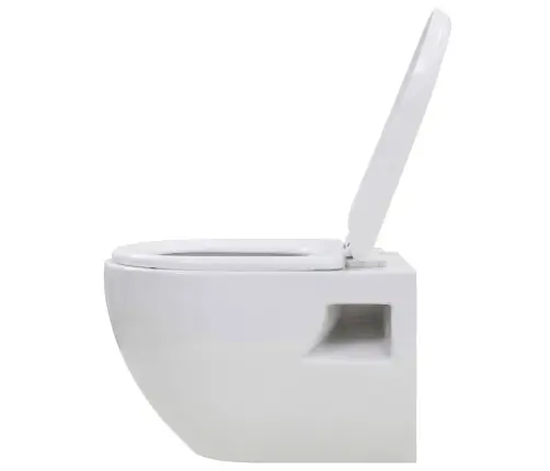 Seinale Kinnitatav Peidetud Loputuskastiga Wc-Pott, Valge