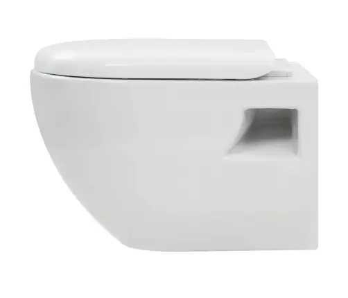 Seinale Kinnitatav Peidetud Loputuskastiga Wc-Pott, Valge