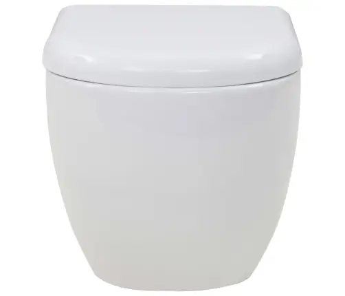 Seinale Kinnitatav Peidetud Loputuskastiga Wc-Pott, Valge