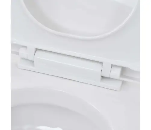 Seinale Kinnitatav Peidetud Loputuskastiga Wc-Pott, Valge