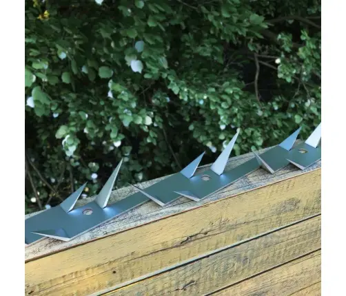 Seinapiigid 25 Tk, Teras, 1 M