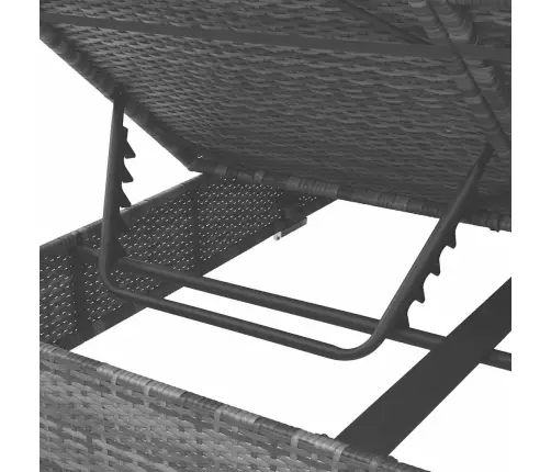 Dārza Atpūtas Gulta Ar Aizkariem, Pelēka Pe Rotangpalma Vidaxl