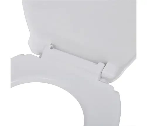 Klozeto Sėdynės, 2Vnt., Baltos, Plastikas