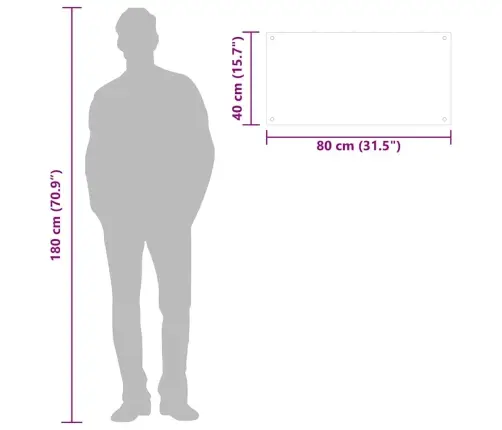 Virtuves Panelis, 80X40 Cm, Rūdīts Stikls, Caurspīdīgs Vidaxl