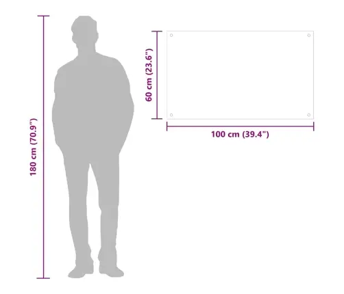 Virtuves Panelis, 100X60 Cm, Rūdīts Stikls, Caurspīdīgs Vidaxl