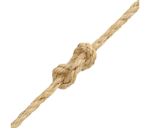 Virve, 10 Mm, 100 M, 100% Sizals Vidaxl