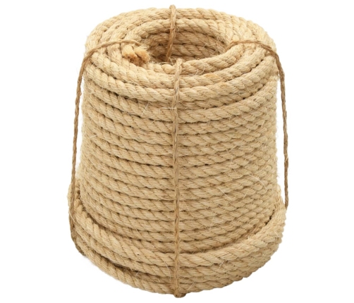 Virve, 12 Mm, 50 M, 100% Sizals Vidaxl