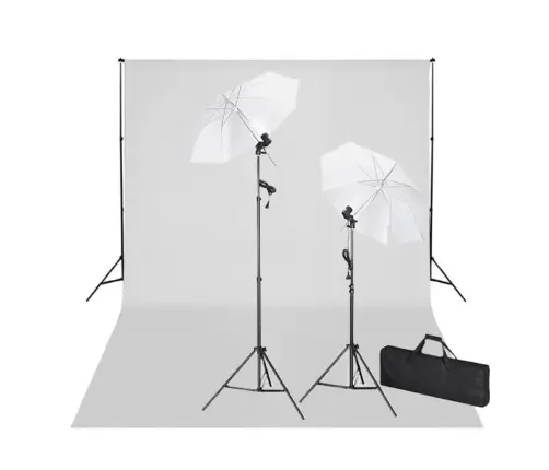 Fotostudijas Komplekts, Gaismas, Balts Fons, 600X300 Cm Vidaxl
