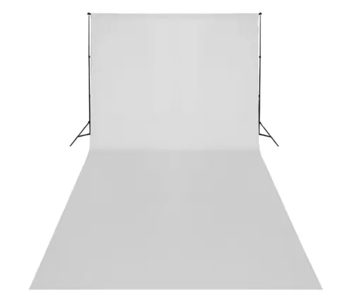 Fotostudijas Komplekts, Gaismas, Balts Fons, 600X300 Cm Vidaxl