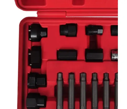 Ģeneratora Skriemeļu Atslēgu Komplekts 22 Instrumenti