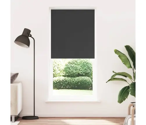 Ruļļu Žalūzijas 100 X 230 Cm Melnas Ruļļu Žalūzijas 100 X 230 Cm Melnas