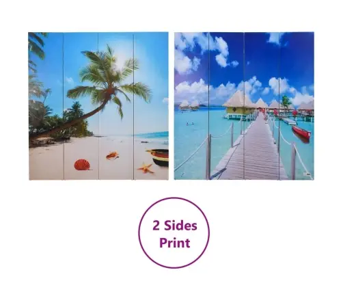 Istabas Aizslietnis, 160X170 Cm, Saliekams, Pludmales Ainava Vidaxl