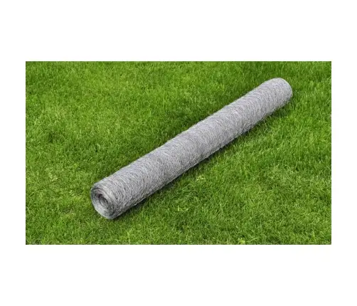 Stiepļu Žogs, Cinkots Tērauds, 25X0,5 M, Sudraba Krāsā Vidaxl