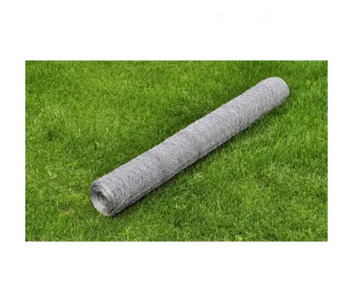 Stiepļu Žogs, Cinkots Tērauds, 25X1 M, Sudraba Krāsā Vidaxl