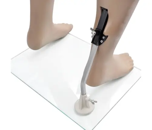 Vīriešu Manekens, Apaļa Galva Vidaxl