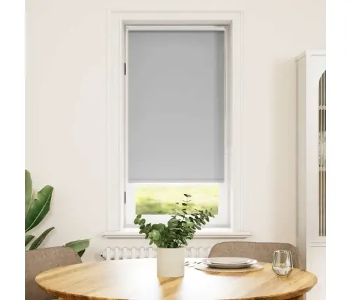 Aptumšojošās Ruļļu Žalūzijas 40 X 100 Cm Pelēkas Aptumšojošās Ruļļu Žalūzijas 40 X 100 Cm Pelēkas