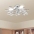 Griestu Lampa Ar Baltām Un Caurspīdīgām Akrila Kristāla Lapām E14