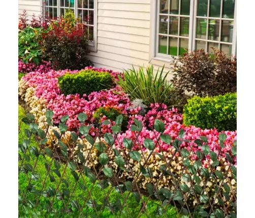 Špaleru Žogs, 5 Gb., Ar Mākslīgām Lapām,180X90Cm, Vītola Klūgas Vidaxl