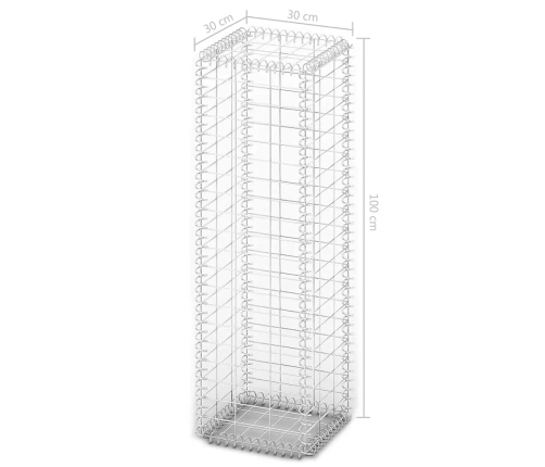 Gabions Ar Vāku, Cinkota Stieple, 100X30X30 Cm  Vidaxl
