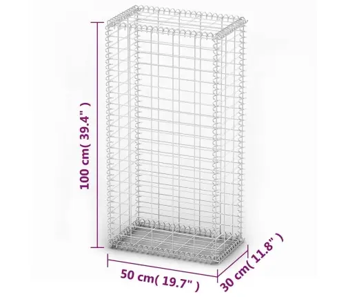 Gabions Ar Vāku, Cinkota Stieple, 100X50X30 Cm  Vidaxl
