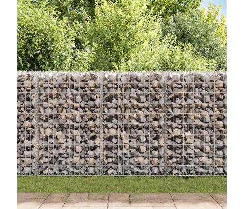 Gabions Ar Vāku, Cinkota Stieple, 100X100X30 Cm  Vidaxl