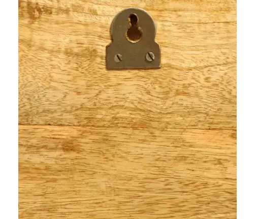 Sienas Plaukti, 2 Gab., Masīvkoks Vidaxl