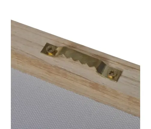 Fotopaveikslas "Liūtai" Ant Drobės 100 X 50 Cm