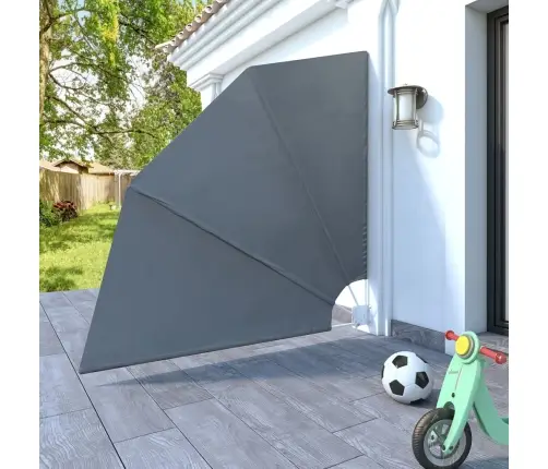 Saliekama Balkona Sānu Markīze, Pelēka, 210X210 Cm Vidaxl