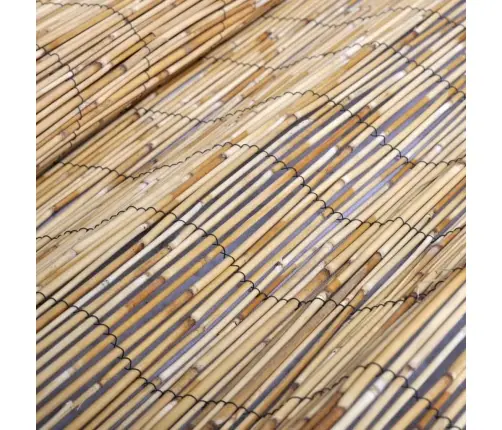 Dārza Niedru Žogs, 500X100 Cm Vidaxl