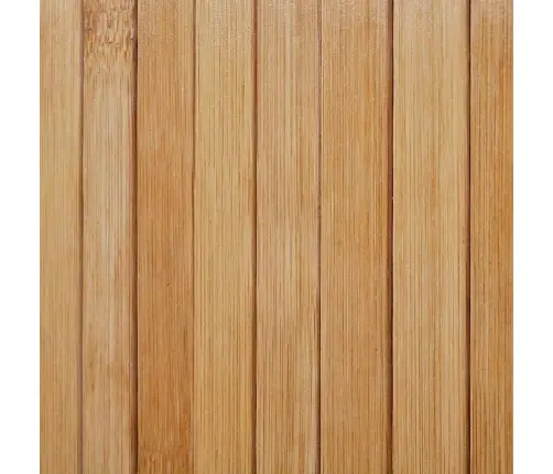 Istabas Aizslietnis, Bambuss, Dabīgā Krāsā, 250X165 Cm Vidaxl