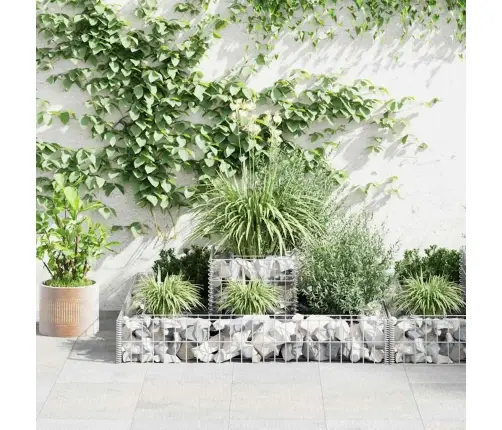 Gabioon-Taimekast, Tsingitud Teras, 120 X 120 X 20 Cm