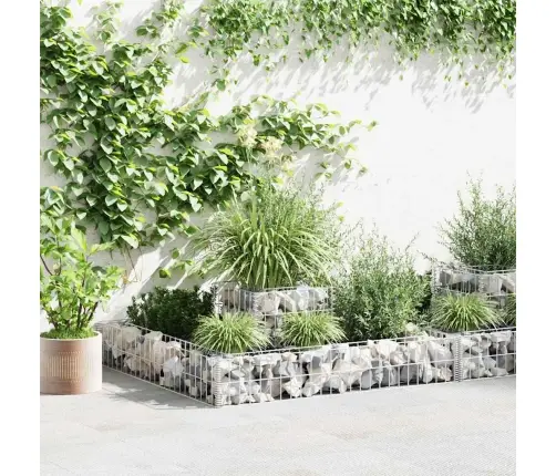 Gabioon-Taimekast, Tsingitud Teras, 120 X 120 X 20 Cm