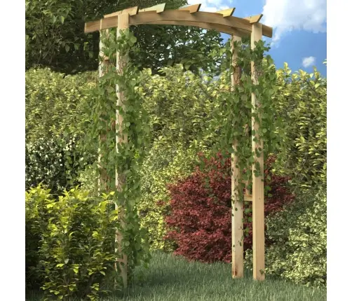 Treliažas-Arka, 150X60X210cm Mediena