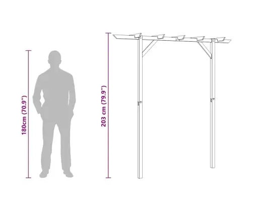 Dārza Pergola, 205X40X203 Cm, Koks Vidaxl