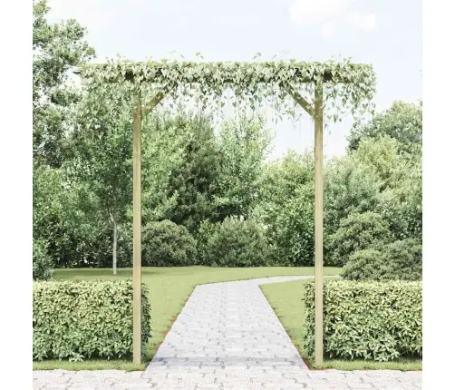 Dārza Pergola, 205X40X203 Cm, Koks Vidaxl