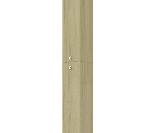 Sodo Pergolė, 410X40X203cm Mediena