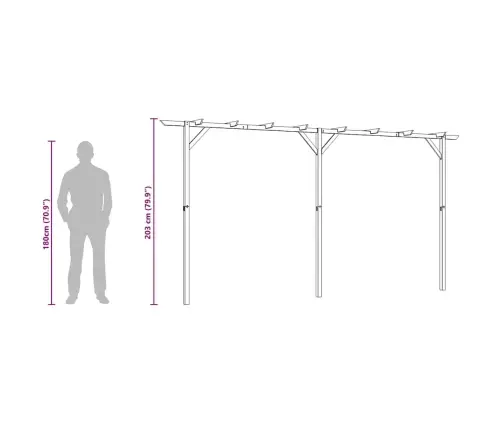 Sodo Pergolė, 410X40X203cm Mediena